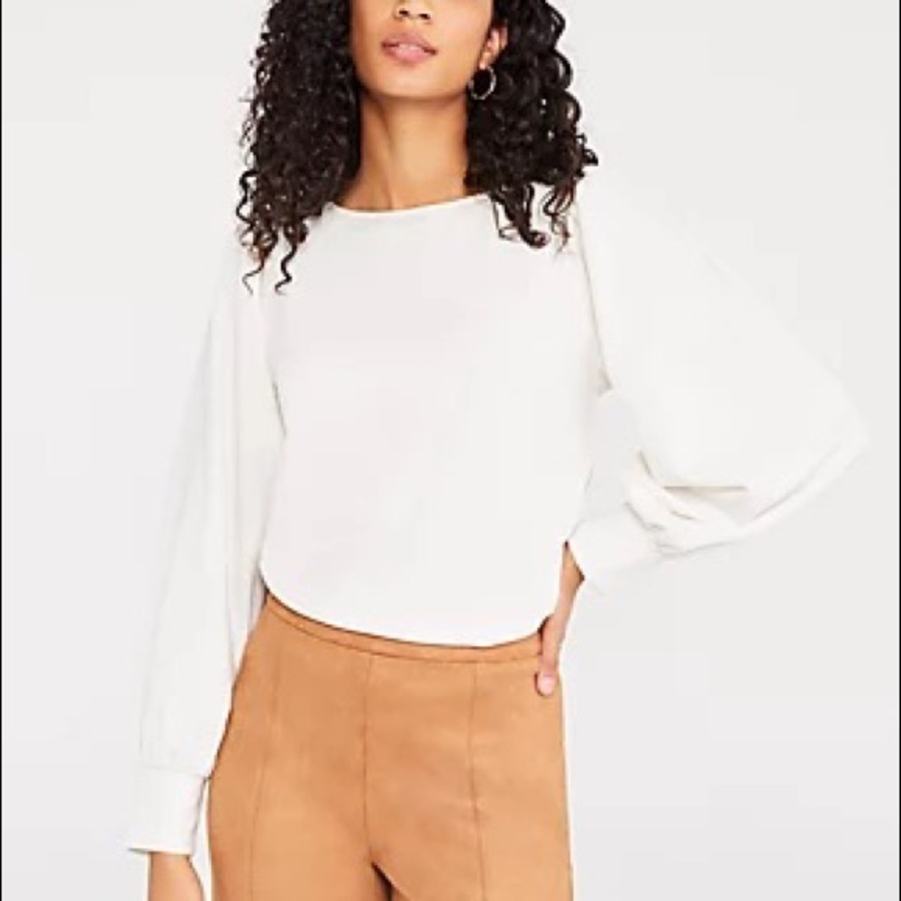 Ann Taylor Cinched Shoulder Top